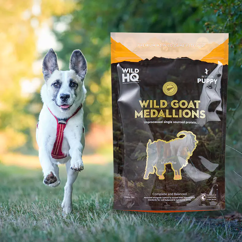 Priontáil Dhigiteach Éicea-Cháirdiúil ildaite-Mála Caife Pouch Íseal